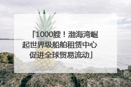 1000艘！渤海湾崛起世界级船舶租赁中心 促进全球贸易流动