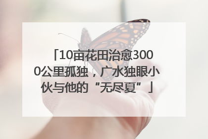 10亩花田治愈3000公里孤独，广水独眼小伙与他的“无尽夏”