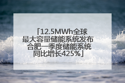 12.5MWh全球最大容量储能系统发布 合肥一季度储能系统同比增长425%