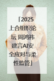 2025上合组织论坛 周鸿祎建言AI安全应对与柔性监管