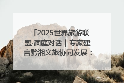 2025世界旅游联盟·洞庭对话｜专家建言黔湘文旅协同发展：聚焦产品稀缺性 深化区域经验共享