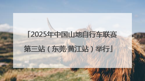 2025年中国山地自行车联赛第三站（东莞·黄江站）举行