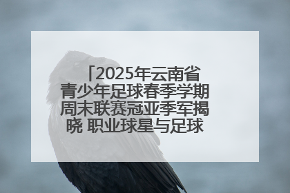 2025年云南省青少年足球春季学期周末联赛冠亚季军揭晓 职业球星与足球小将共享荣耀时刻