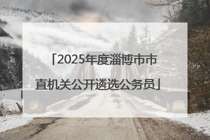 2025年度淄博市市直机关公开遴选公务员