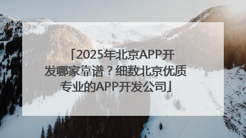 2025年北京APP开发哪家靠谱？细数北京优质专业的APP开发公司