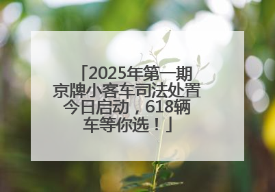 2025年第一期京牌小客车司法处置今日启动，618辆车等你选！