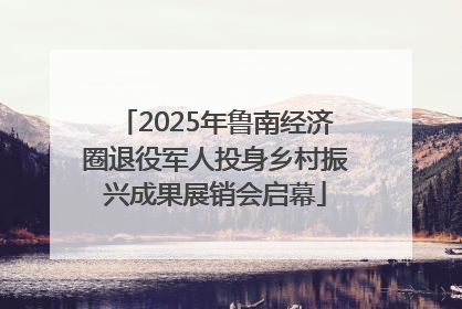 2025年鲁南经济圈退役军人投身乡村振兴成果展销会启幕