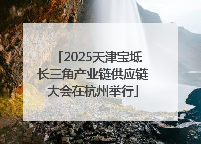 2025天津宝坻长三角产业链供应链大会在杭州举行