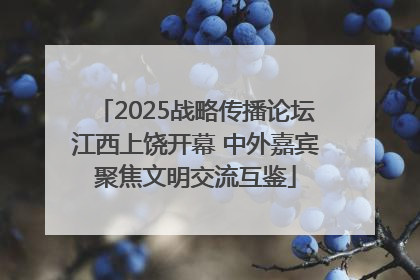 2025战略传播论坛江西上饶开幕 中外嘉宾聚焦文明交流互鉴
