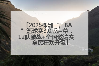 2025株洲“厂BA”篮球赛3.0版启幕：12队激战+全国邀请赛，全民狂欢升级