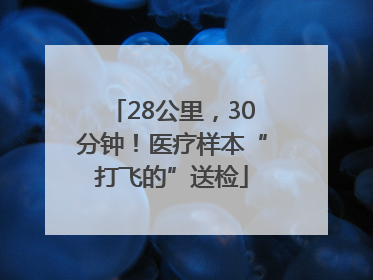 28公里，30分钟！医疗样本“打飞的”送检