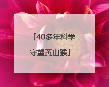 40多年科学守望黄山猴