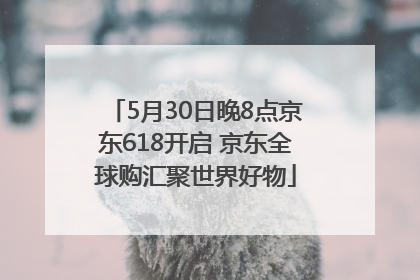 5月30日晚8点京东618开启 京东全球购汇聚世界好物