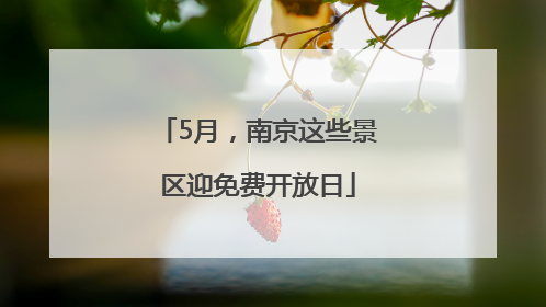 5月，南京这些景区迎免费开放日