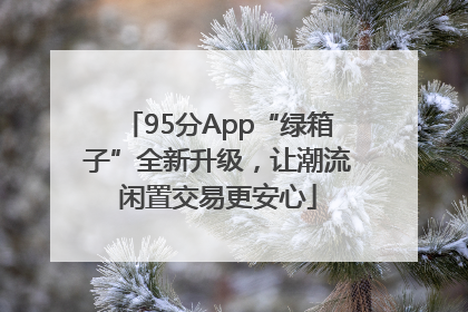 95分App“绿箱子”全新升级，让潮流闲置交易更安心
