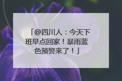 @四川人：今天下班早点回家！暴雨蓝色预警来了！