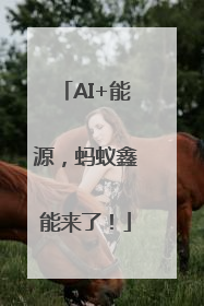 AI+能源，蚂蚁鑫能来了！