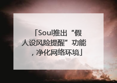 Soul推出“假人设风险提醒”功能，净化网络环境